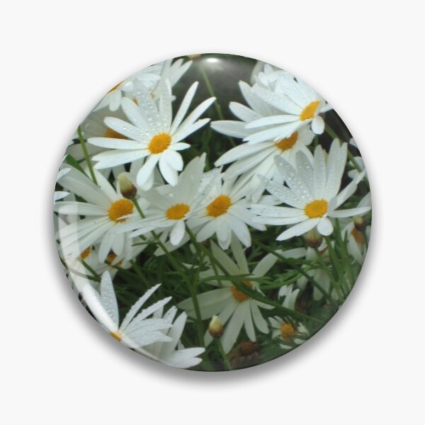 Item preview, Daisy Daisy - Tresco Abbey Gardens, Scilly Isles  designed and sold by niki2028.
