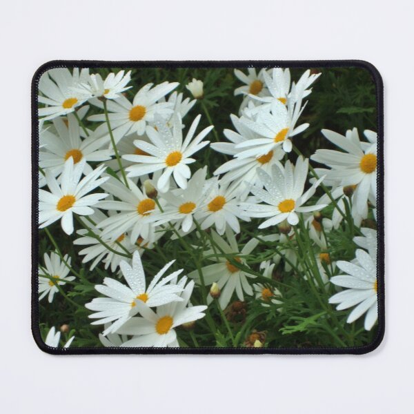 Item preview, Daisy Daisy - Tresco Abbey Gardens, Scilly Isles  designed and sold by niki2028.