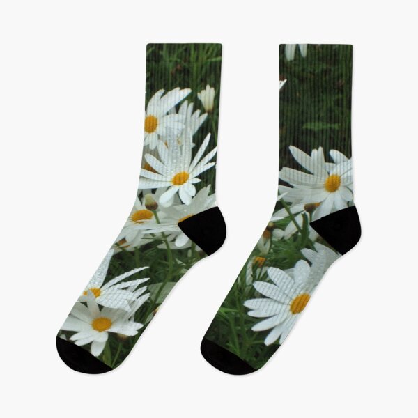 Item preview, Daisy Daisy - Tresco Abbey Gardens, Scilly Isles  designed and sold by niki2028.