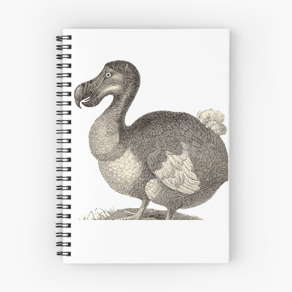 Item preview, design of an extinct bird name DODO designed and sold by VIVEK KUMAR RAI.