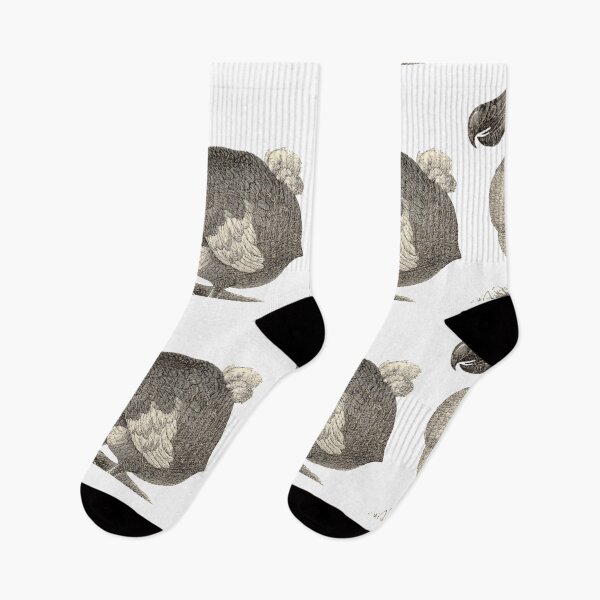 Item preview, design of an extinct bird name DODO designed and sold by VIVEK KUMAR RAI.