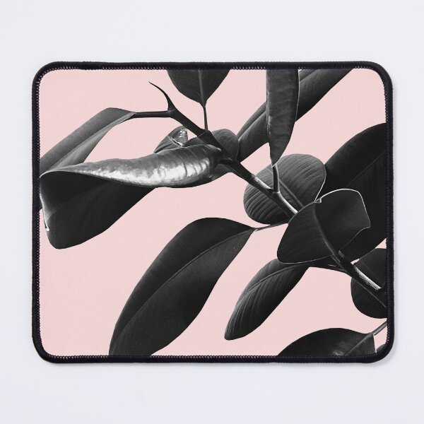 Item preview, Ficus Elastica Blush Black & White Vibes #1 #foliage #decor #art designed and sold by Anita's & Bella's Art.