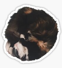 Nickerchen Sticker