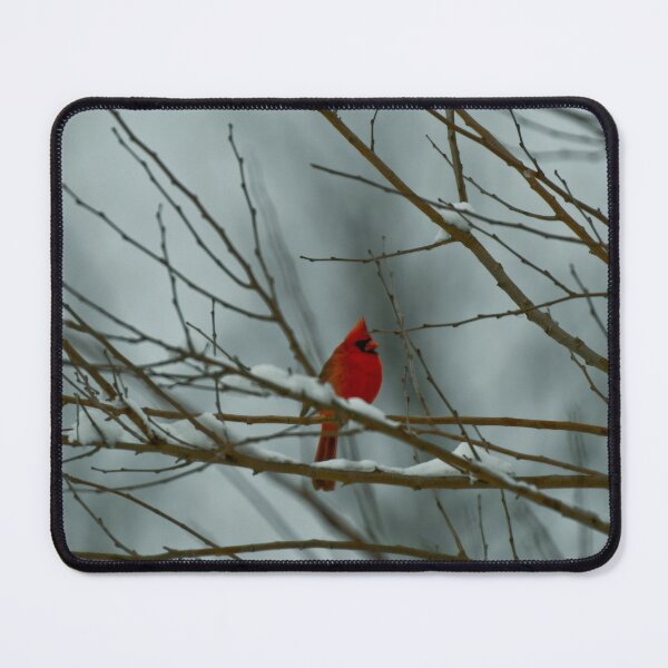 Item preview, Red Cardinal in winter designed and sold by Derek Steckert.