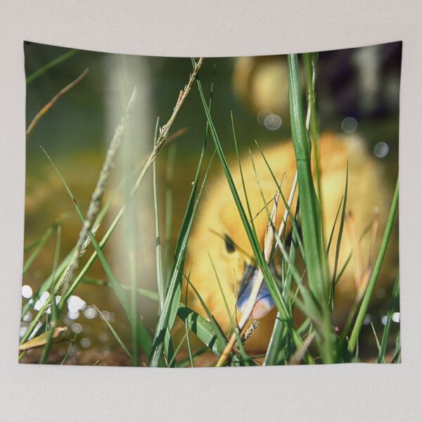 Item preview, Hiding designed and sold by NunoPires.