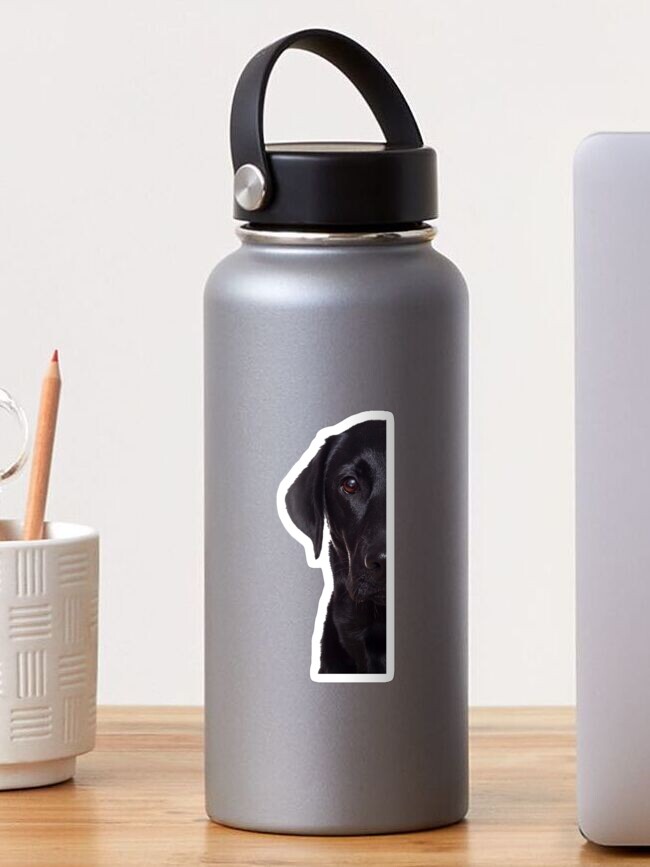 Thumbnail 1 of 3, Sticker, Black Lab designed and sold by tffindlay.
