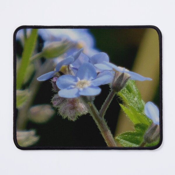 Item preview, blue flower in bloom designed and sold by 6059.