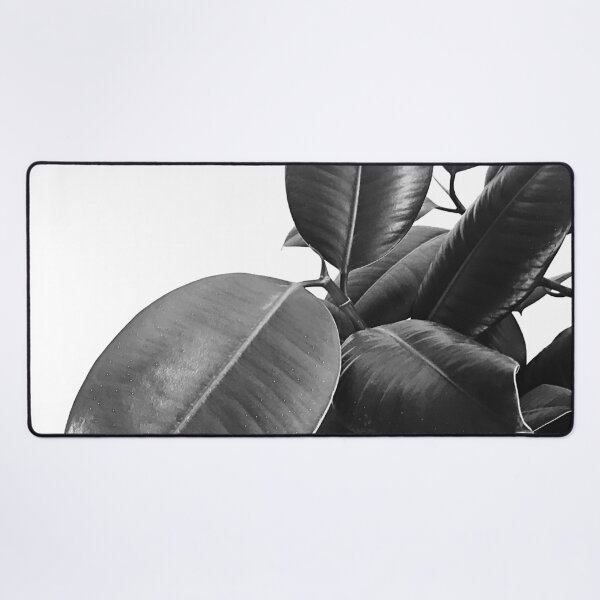 Item preview, Ficus Elastica #23 #BlackAndWhite #foliage #decor #art designed and sold by Anita's & Bella's Art.