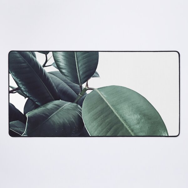 Artikelvorschau, Ficus Elastica # 18 #Weiß #foliage #decor #kunst entworfen und verkauft von Anita's & Bella's Art.