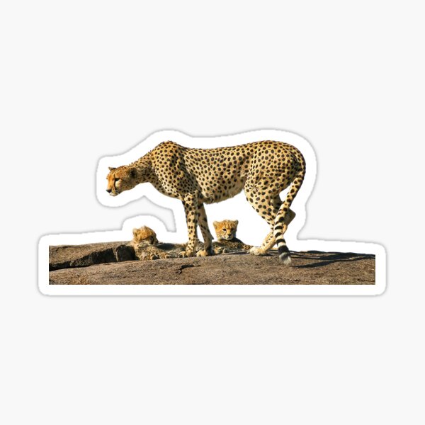 Under Mom's Watchful Eye Sticker