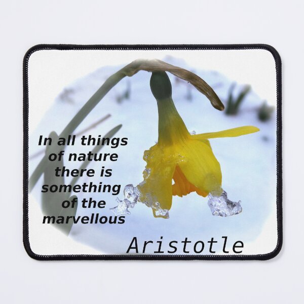Item preview, An Aristotle quote on nature designed and sold by 6059.