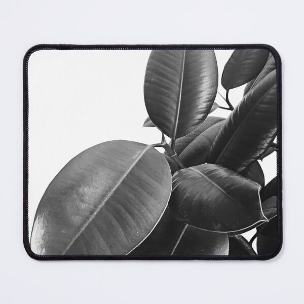 Item preview, Ficus Elastica #23 #BlackAndWhite #foliage #decor #art designed and sold by Anita's & Bella's Art.