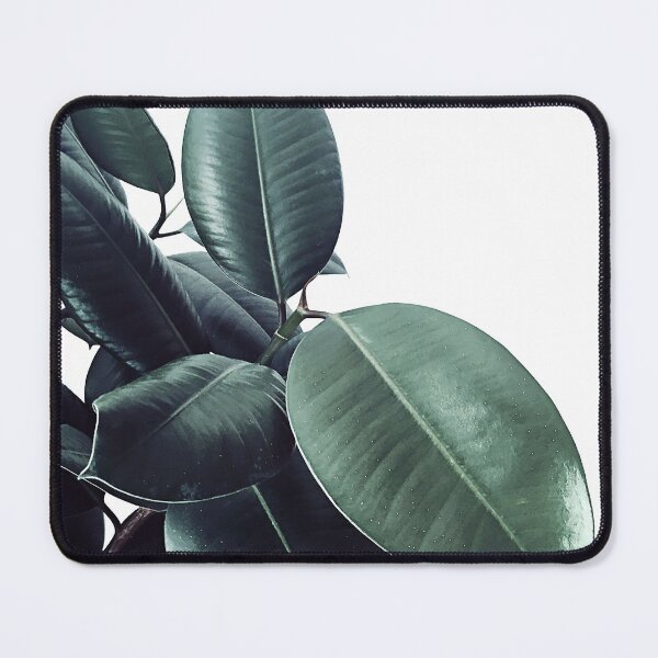 Item preview, Ficus Elastica #18 #White #foliage #decor #art designed and sold by Anita's & Bella's Art.