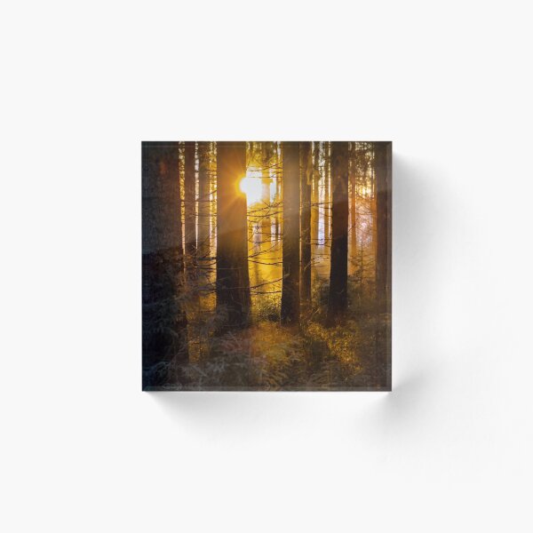 Item preview, Sun shining through the forest. designed and sold by RolandWidin.