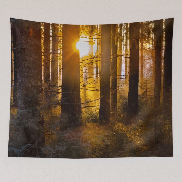 Item preview, Sun shining through the forest. designed and sold by RolandWidin.