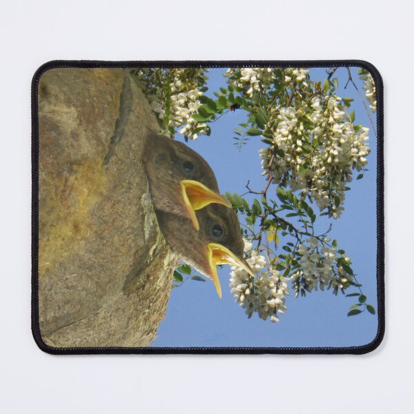 Item preview, two juvenile wren birds about to fledge  designed and sold by 6059.