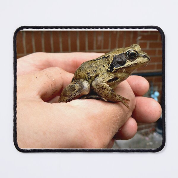 Item preview, A TOAD IN THE HOLE. designed and sold by ronsaunders47.