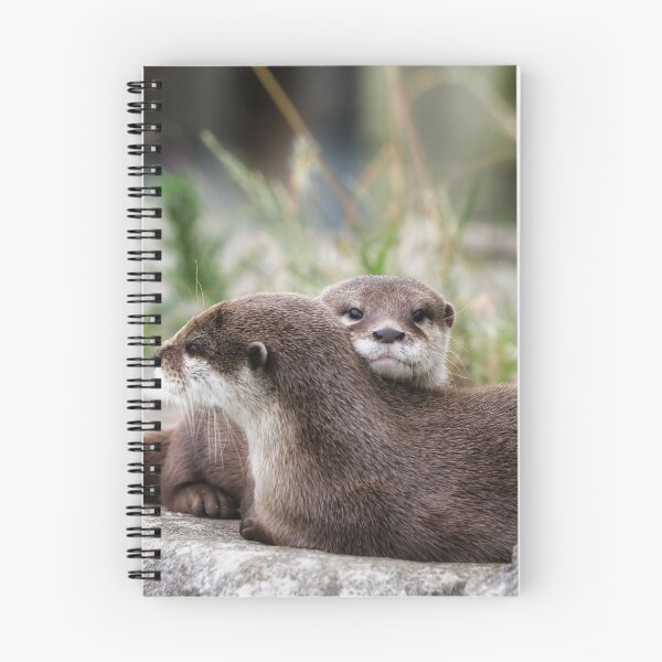 Item preview, Abrazos de nutria designed and sold by Joanne wilde.