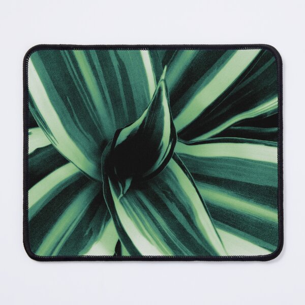Item preview, White Jewel - Dracaena Delight #2 #tropical #decor #art designed and sold by Anita's & Bella's Art.
