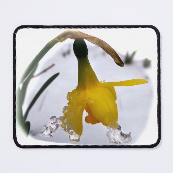Item preview, ice on a flower designed and sold by 6059.
