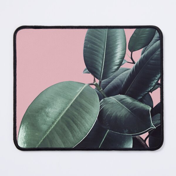 Item preview, Ficus Elastica #14 #CoralBlush #decor #art designed and sold by Anita's & Bella's Art.