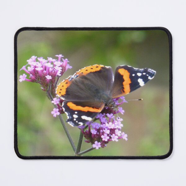 Item preview, open winged butterfly designed and sold by 6059.