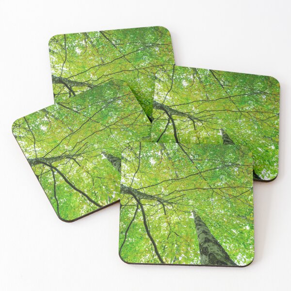 Item preview, Trees reaching for the sky. designed and sold by RolandWidin.