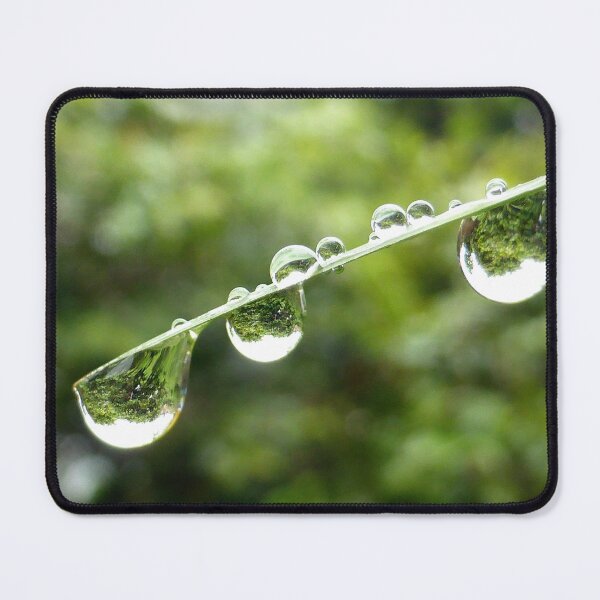 Item preview, hanging waterdrops on a leaf  designed and sold by 6059.