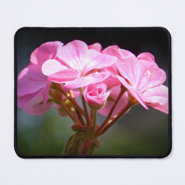 Item preview, pink geranium designed and sold by 6059.
