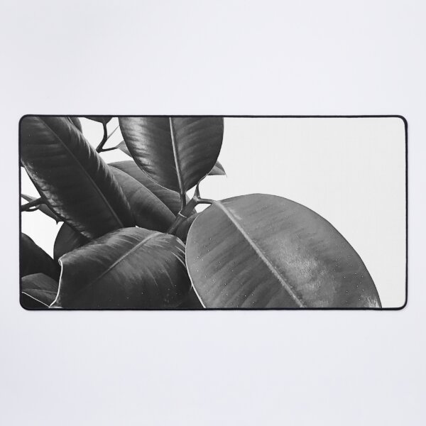 Item preview, Ficus Elastica #21 #BlackAndWhite #foliage #decor #art designed and sold by Anita's & Bella's Art.