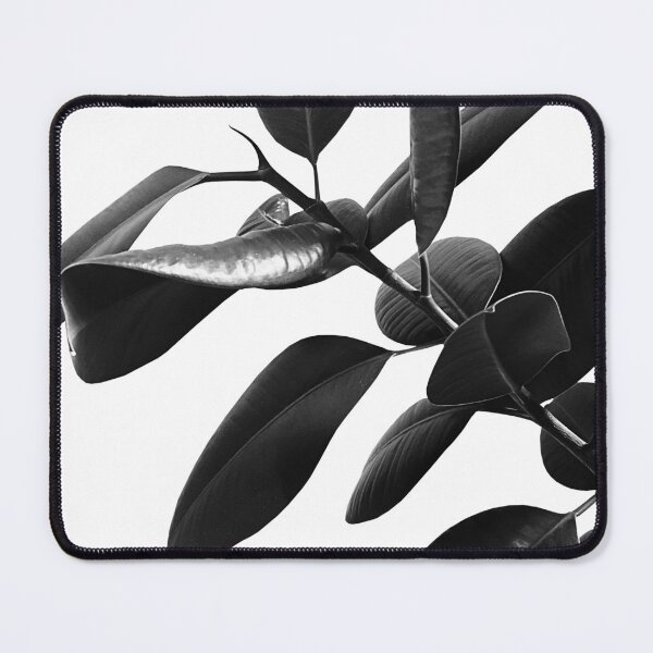 Item preview, Ficus Elastica Black & White Vibes #1 #foliage #decor #art designed and sold by Anita's & Bella's Art.