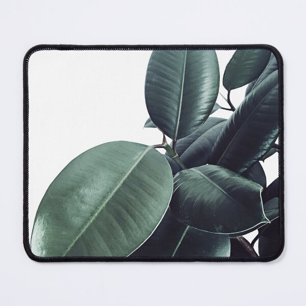 Item preview, Ficus Elastica #13 #decor #art  designed and sold by Anita's & Bella's Art.