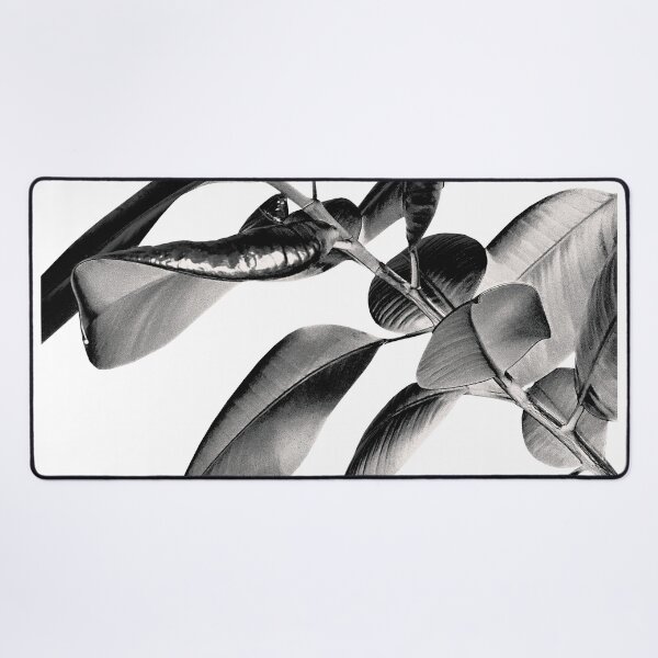 Item preview, Ficus Elastica Black Gray White Vibes #1 #foliage #decor #art  designed and sold by Anita's & Bella's Art.