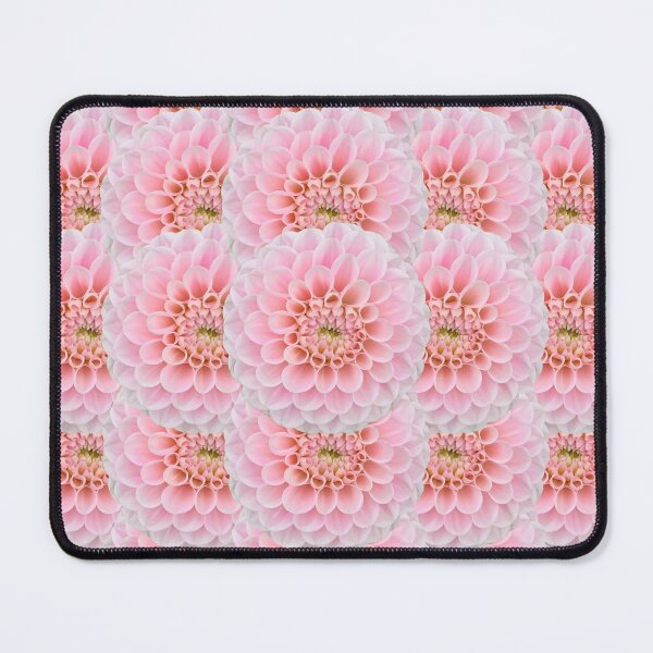 Item preview, Pink Dahlia Flower Still Life Floral Photography designed and sold by CottoVerdi.