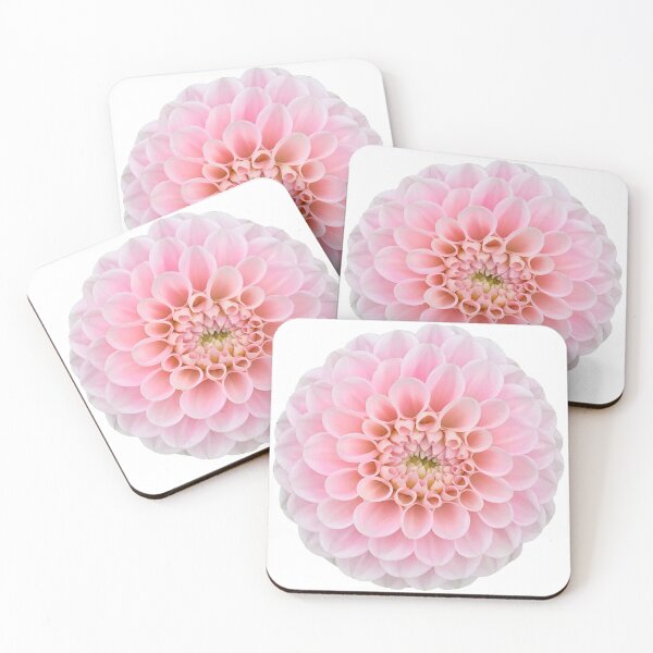 Item preview, Pink Dahlia Flower Still Life Floral Photography designed and sold by CottoVerdi.