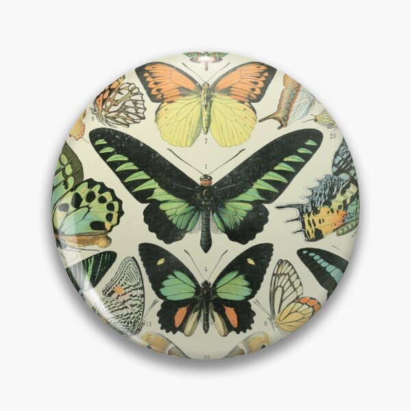 Item preview, Butterflies by Adolphe Millot  designed and sold by Amanda1775.