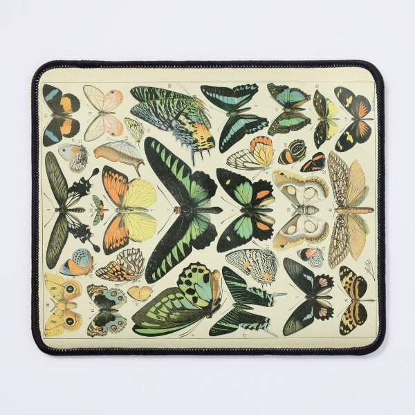 Item preview, Butterflies by Adolphe Millot  designed and sold by Amanda1775.