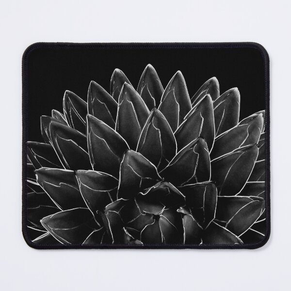Item preview, Black Agave Chic #1 #succulent #decor #art designed and sold by Anita's & Bella's Art.