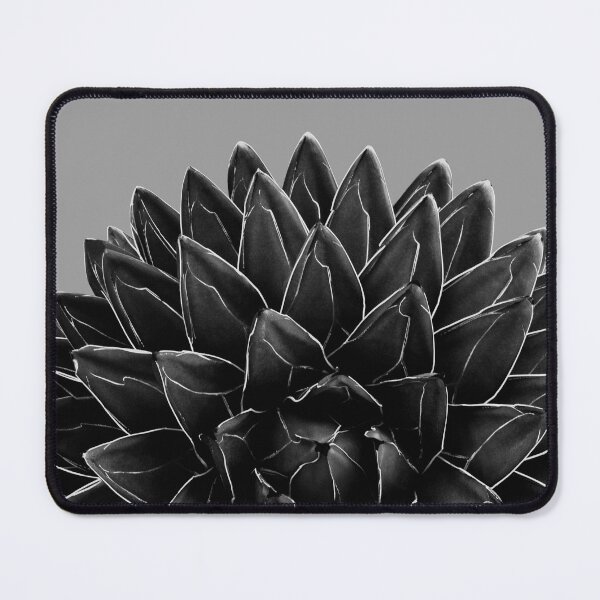 Item preview, Gray Black Agave Chic #1 #succulent #decor #art designed and sold by Anita's & Bella's Art.