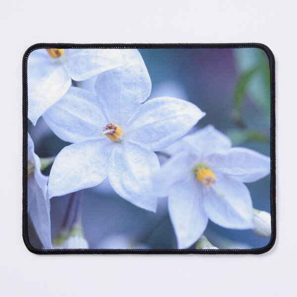 Item preview, Jasmine Nightshade Flowers #3 #floral #art designed and sold by Anita's & Bella's Art.