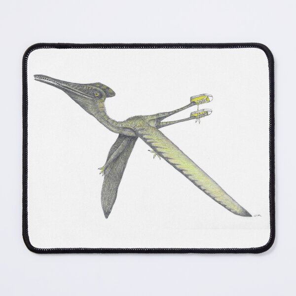 Item preview, Pterodactyl in sneakers designed and sold by JimsBirds.