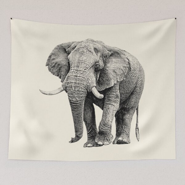 Item preview, Big Tusker African Elephant on the Move designed and sold by Scotch Macaskill.