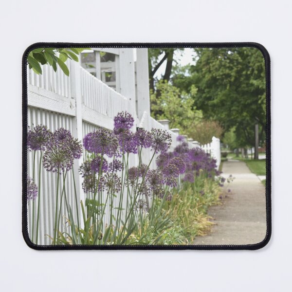 Item preview, Allium by the Fence designed and sold by Kathleen Brant.