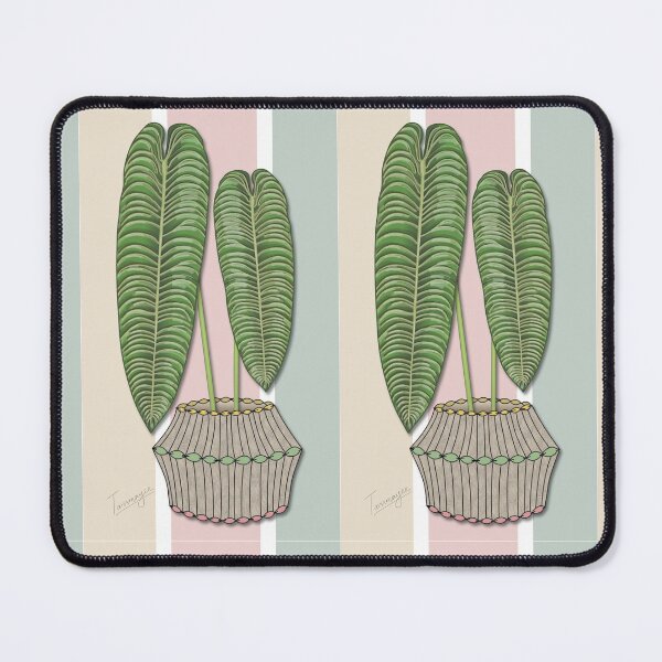 Item preview, Anthuirum Veitchii Art designed and sold by TASORA.