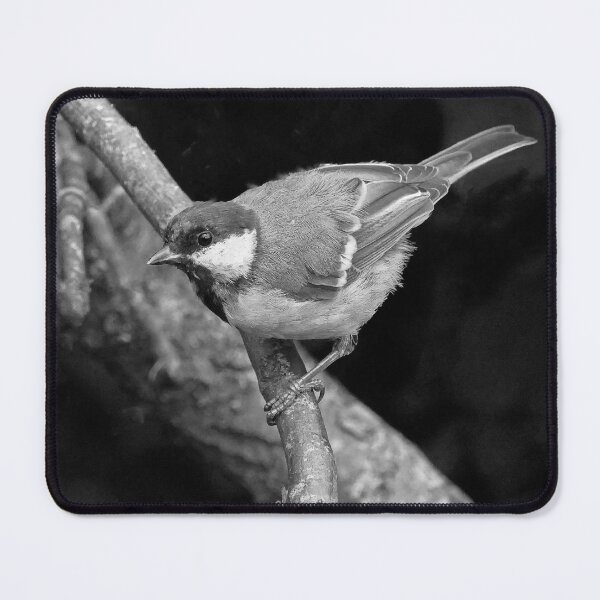Item preview, r1452/ New Finition 2021 Mésange charbonniére-Birds N&B 8 (n&b)(t) by Olao-Olavia / Okaio Créations  designed and sold by o.okaïo.