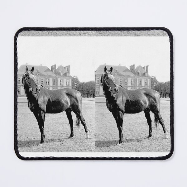 Item preview, r2701 / 2 Nostalgie " Le Haras du Pin "Finition 2021 (c)(t) Olavia-Olao Okaio Créations designed and sold by o.okaïo.