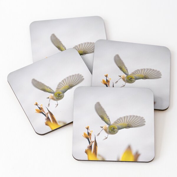 Item preview, bird in flight heading towards camera with wings outstretched above flowers just feeding on. designed and sold by Brian Scantlebury.