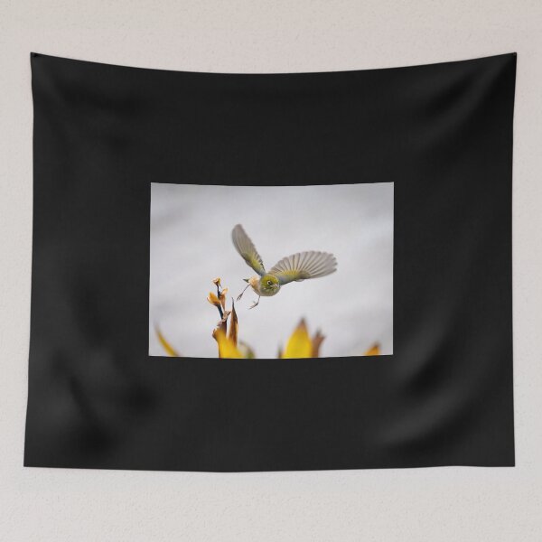Item preview, bird in flight heading towards camera with wings outstretched above flowers just feeding on. designed and sold by Brian Scantlebury.