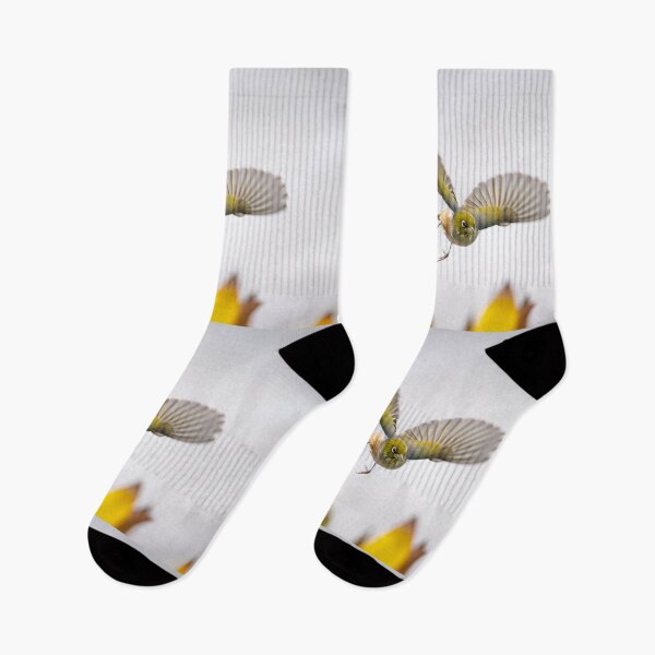 Item preview, bird in flight heading towards camera with wings outstretched above flowers just feeding on. designed and sold by Brian Scantlebury.
