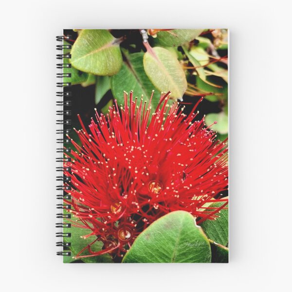 Artikelvorschau, POHUTUKAWA-BLUME entworfen und verkauft von Steffi August.